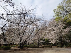 tsunagu02.JPG